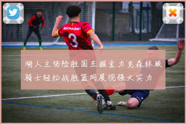 湖人主场险胜国王掘金力克森林狼骑士轻松战胜篮网展现强大实力