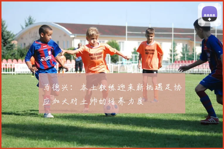马德兴：本土教练迎来新机遇足协应加大对土帅的培养力度