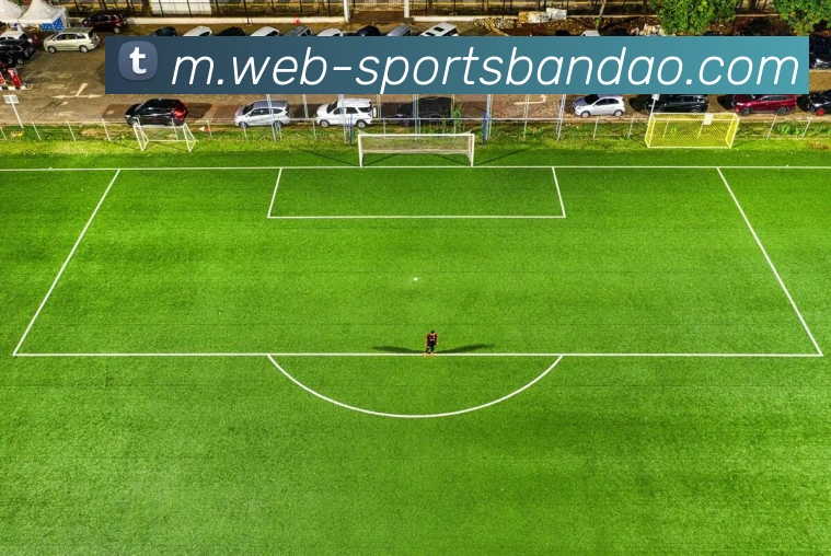 半岛体育APP 封面图